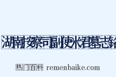 湖南按察司副使米君墓志铭是什么意思的图片